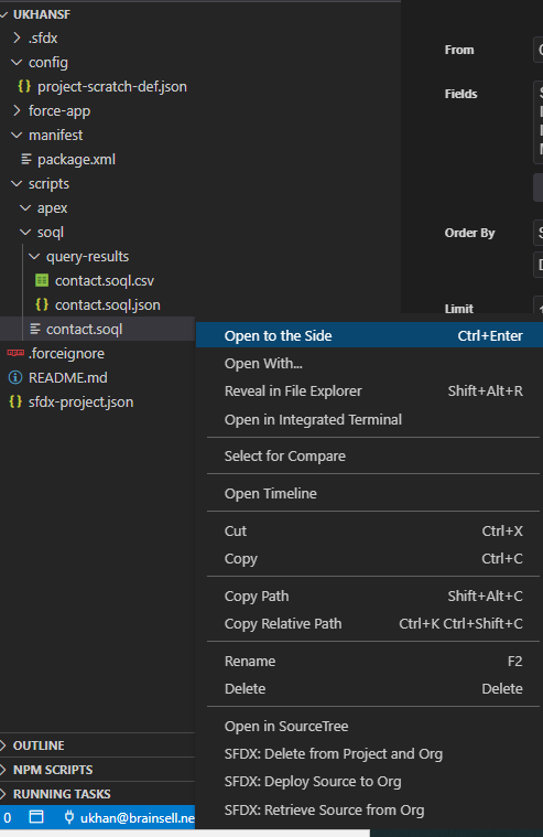 SOQL VS Code Option