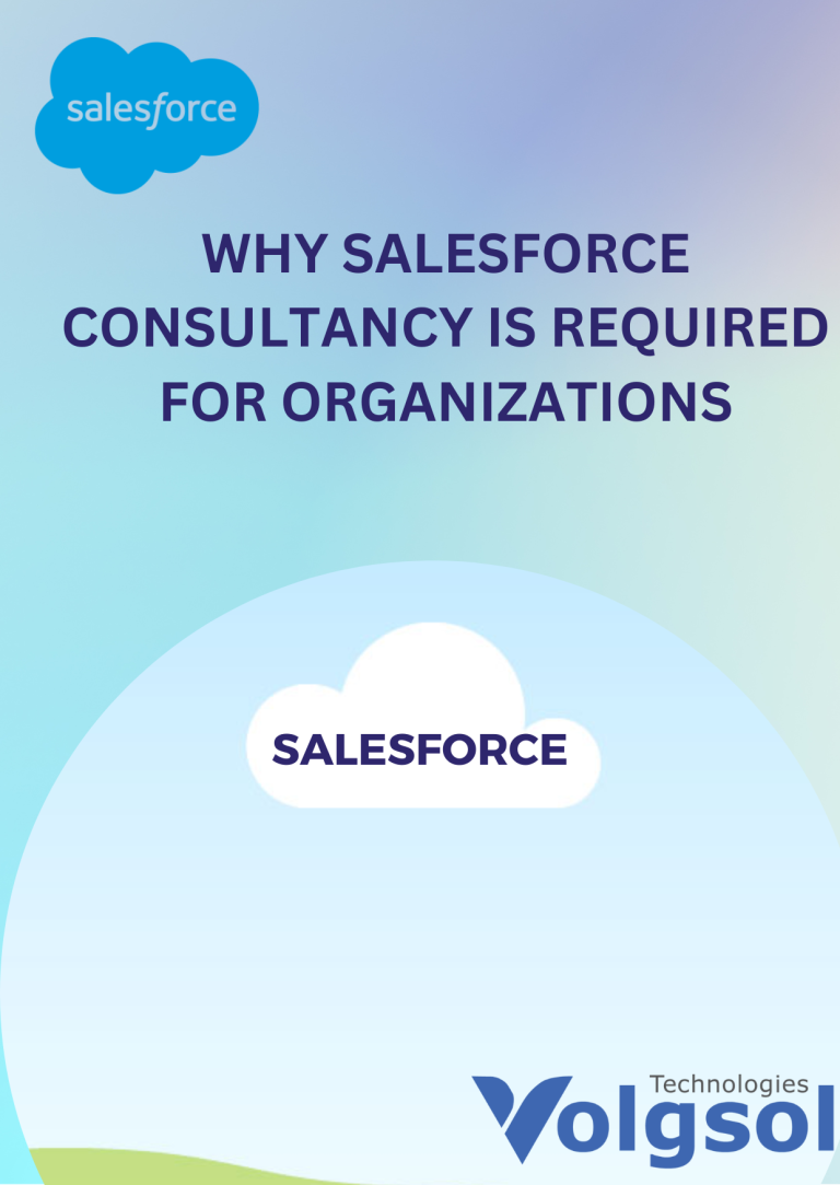 Salesforce Consultants for Organizations